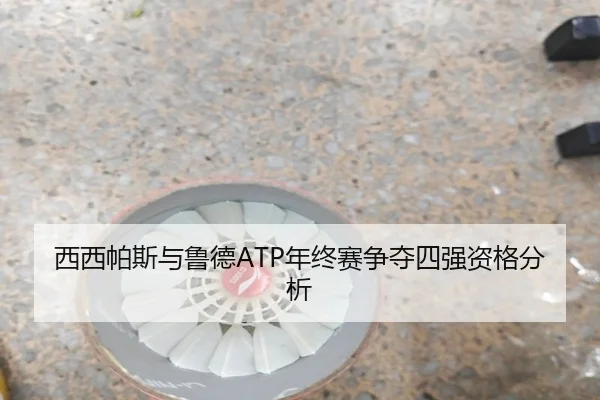 西西帕斯与鲁德ATP年终赛争夺四强资格分析